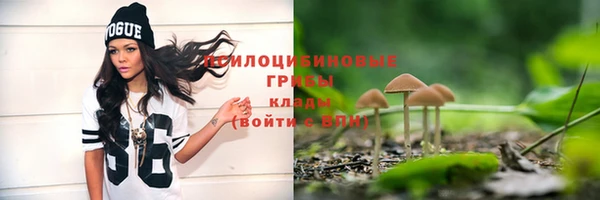 spice Арсеньев