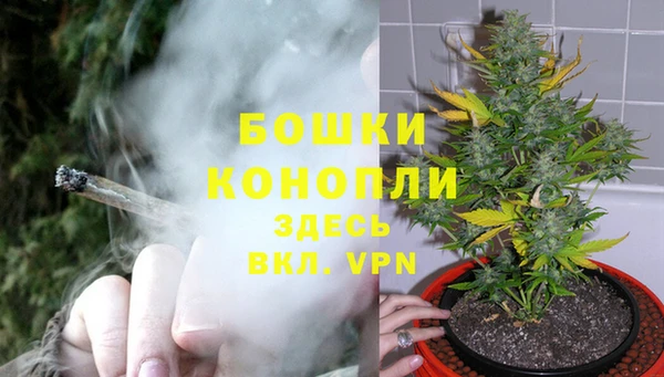 дурь Аркадак
