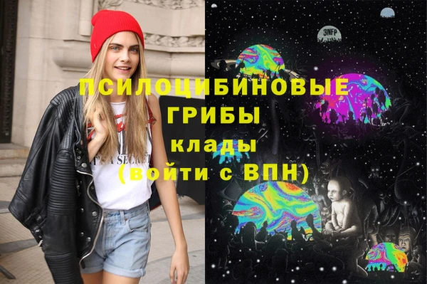 дурь Аркадак